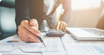 Tax Professionals