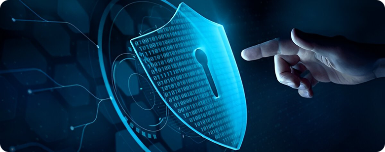 Data Privacy & Security