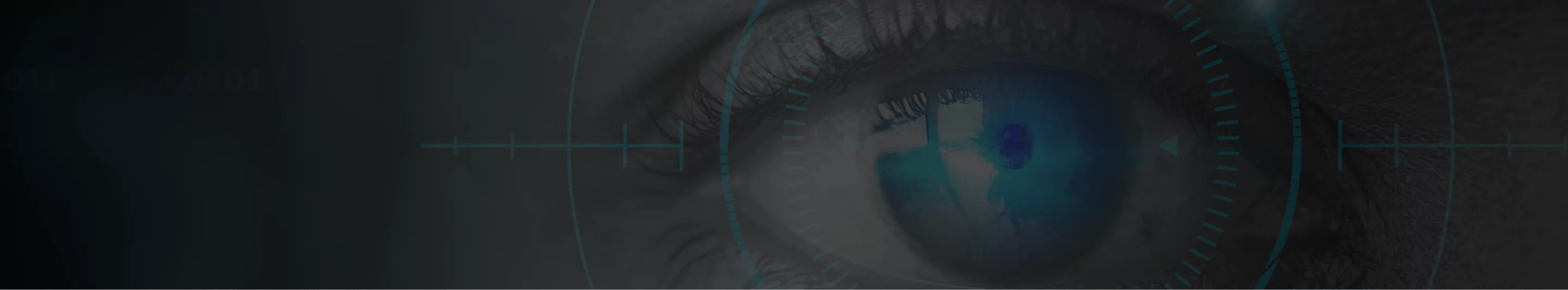 Want to Hire an Expert for End-to-end Custom Computer Vision Development Services?