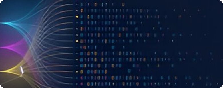 Data Insights