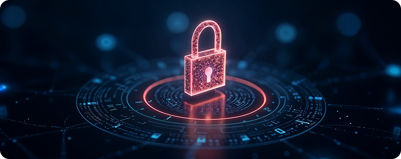 Data Safety and Privacy