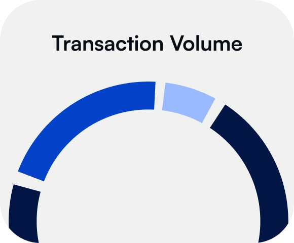 Transaction volume chart on the Nezora dashboard
